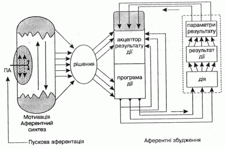 pdk4